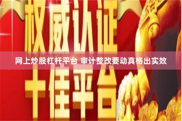 网上炒股杠杆平台 审计整改要动真格出实效