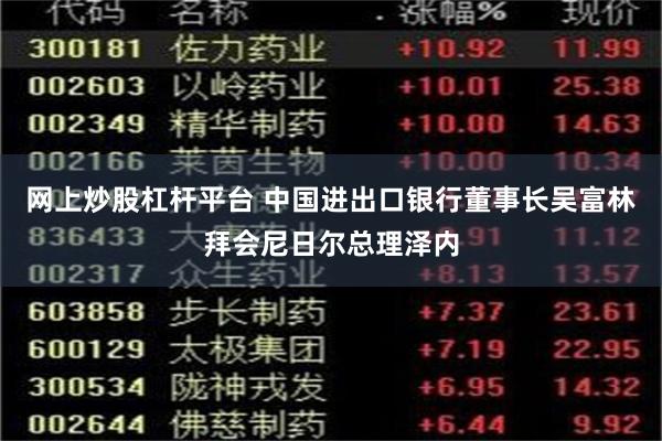 网上炒股杠杆平台 中国进出口银行董事长吴富林拜会尼日尔总理泽内