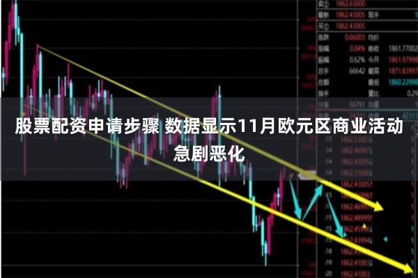 股票配资申请步骤 数据显示11月欧元区商业活动急剧恶化