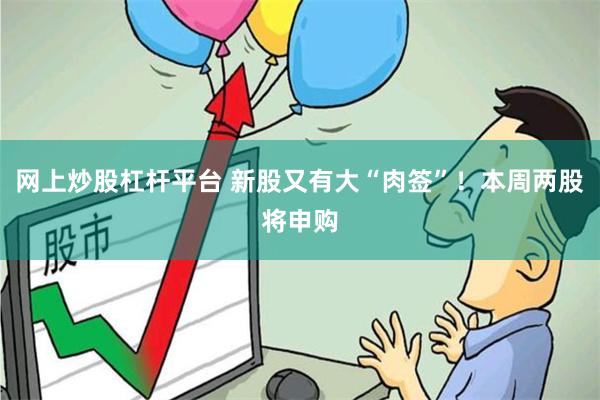 网上炒股杠杆平台 新股又有大“肉签”！本周两股将申购