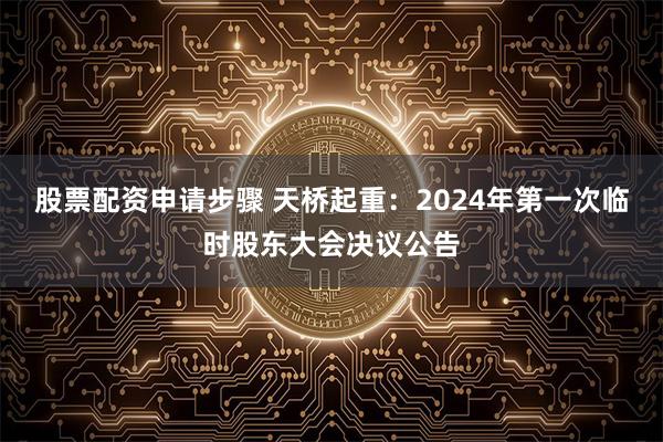 股票配资申请步骤 天桥起重：2024年第一次临时股东大会决议公告